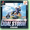 Goalstorm (gebraucht)